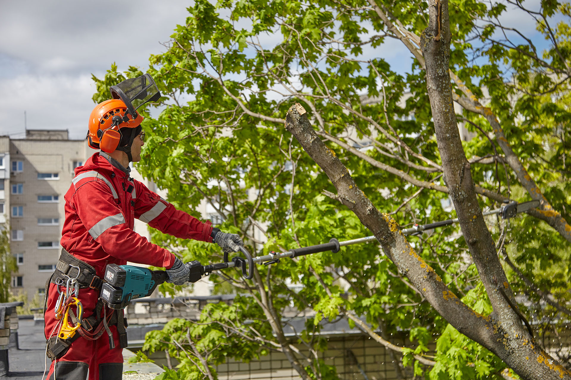 Baum -und Gehölzschnitt - Wir übernehmen für Sie die regelmäßige Kontrolle und Pflege Ihrer Bäume und Sträucher